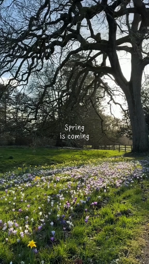 Se acerca la primavera