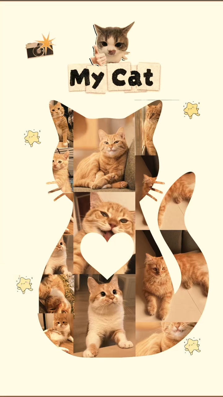 My Cat 