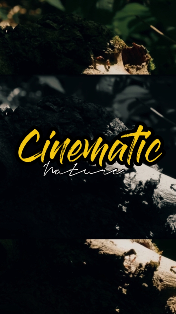 Naturaleza cinematográfica 