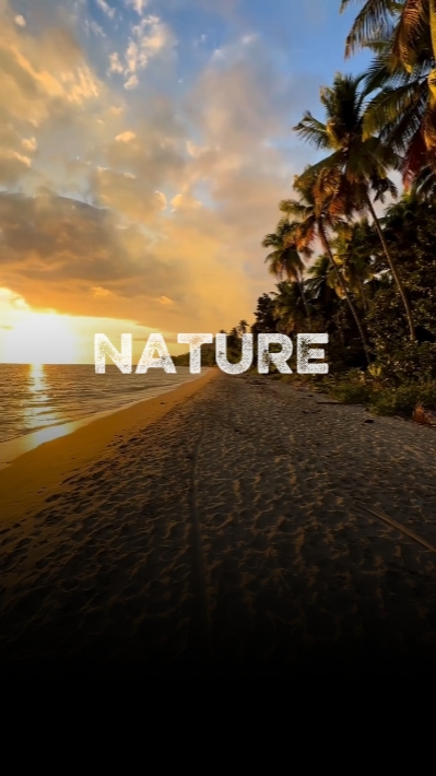 Clip de naturaleza 6