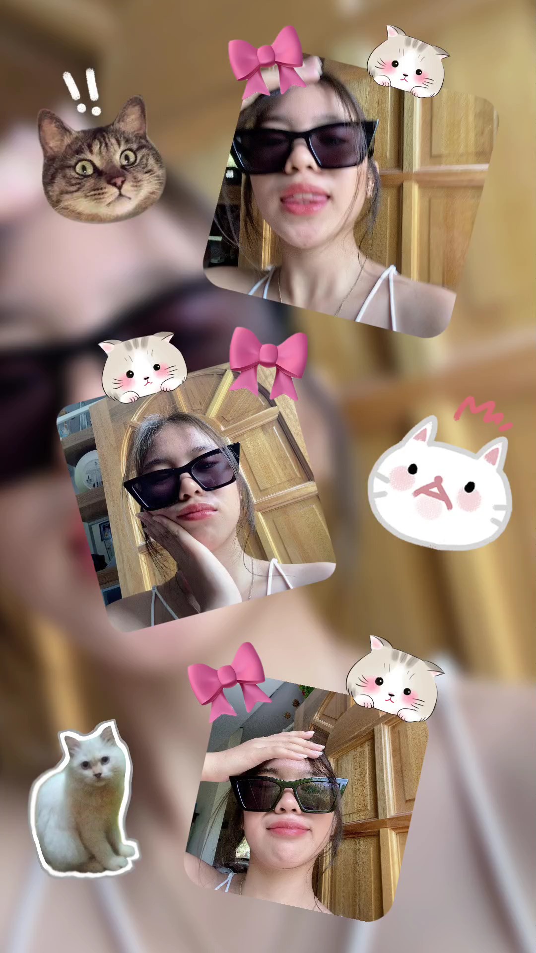 kedi aşığı