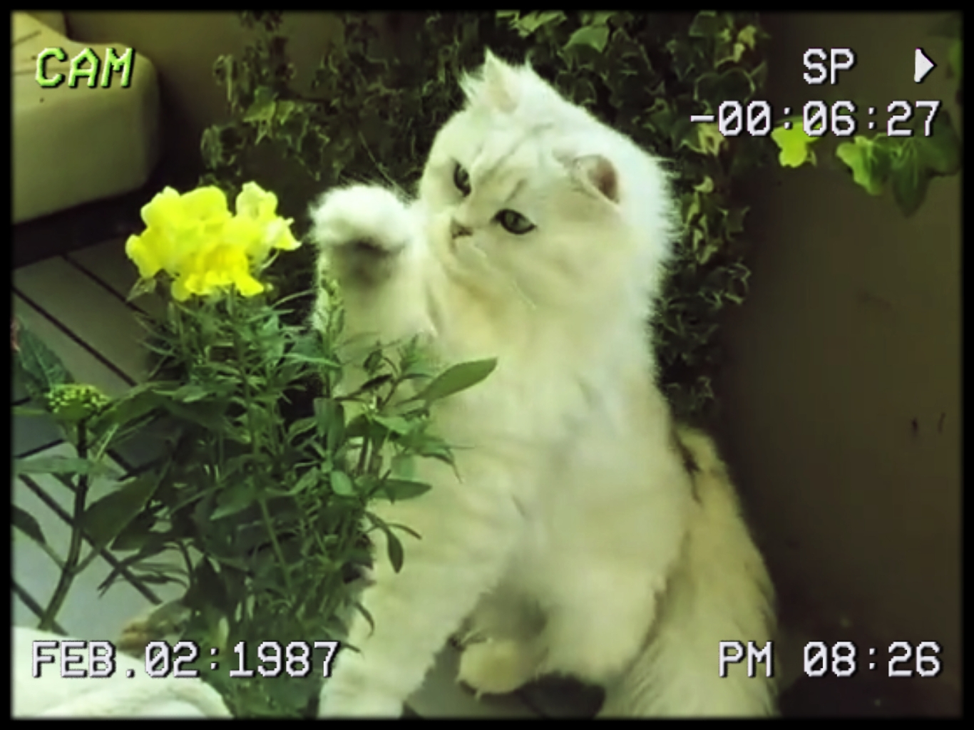 vlog film retro 