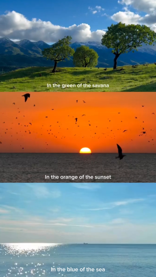 3 grid na video