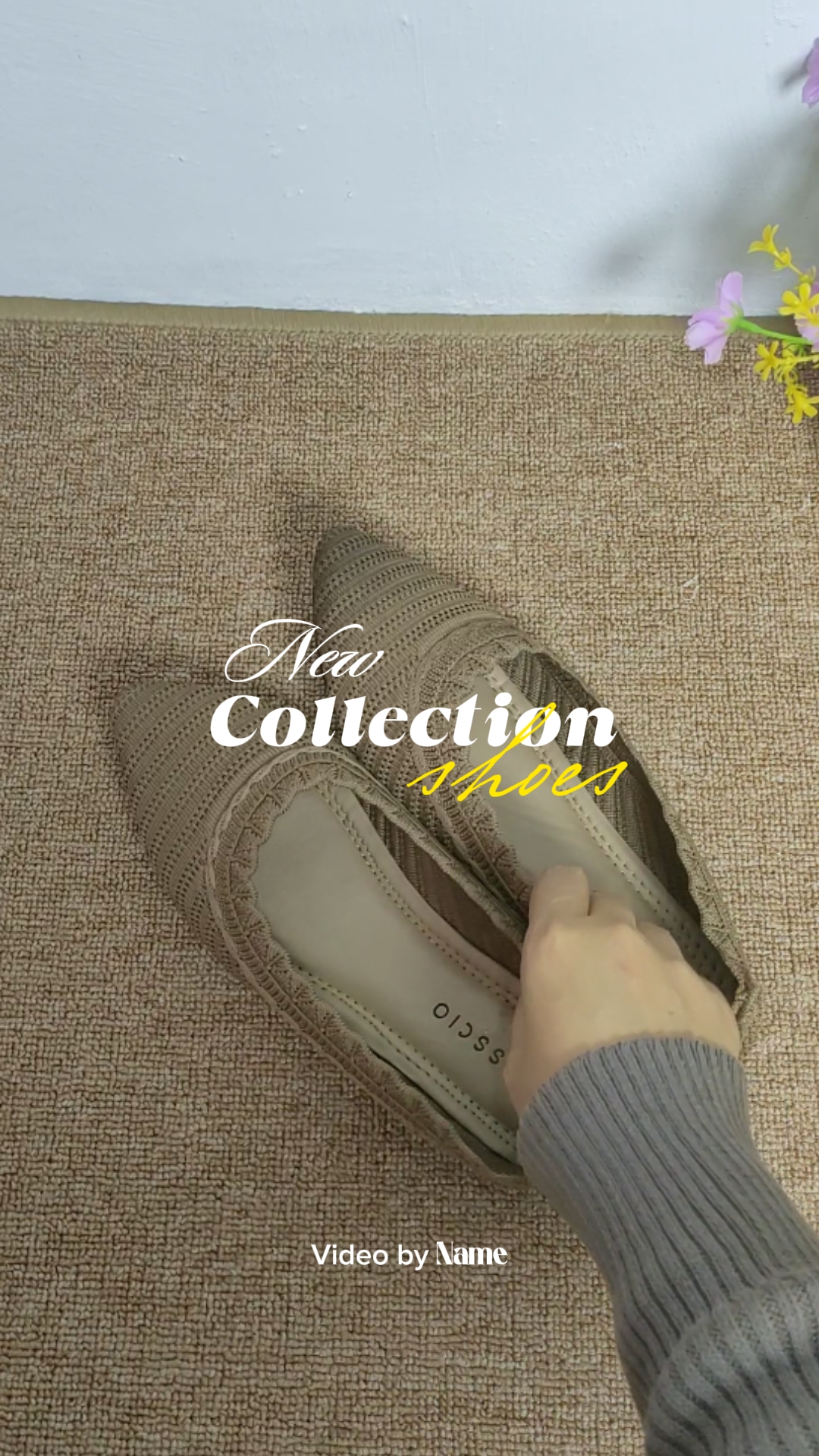 Nueva colección de zapatos