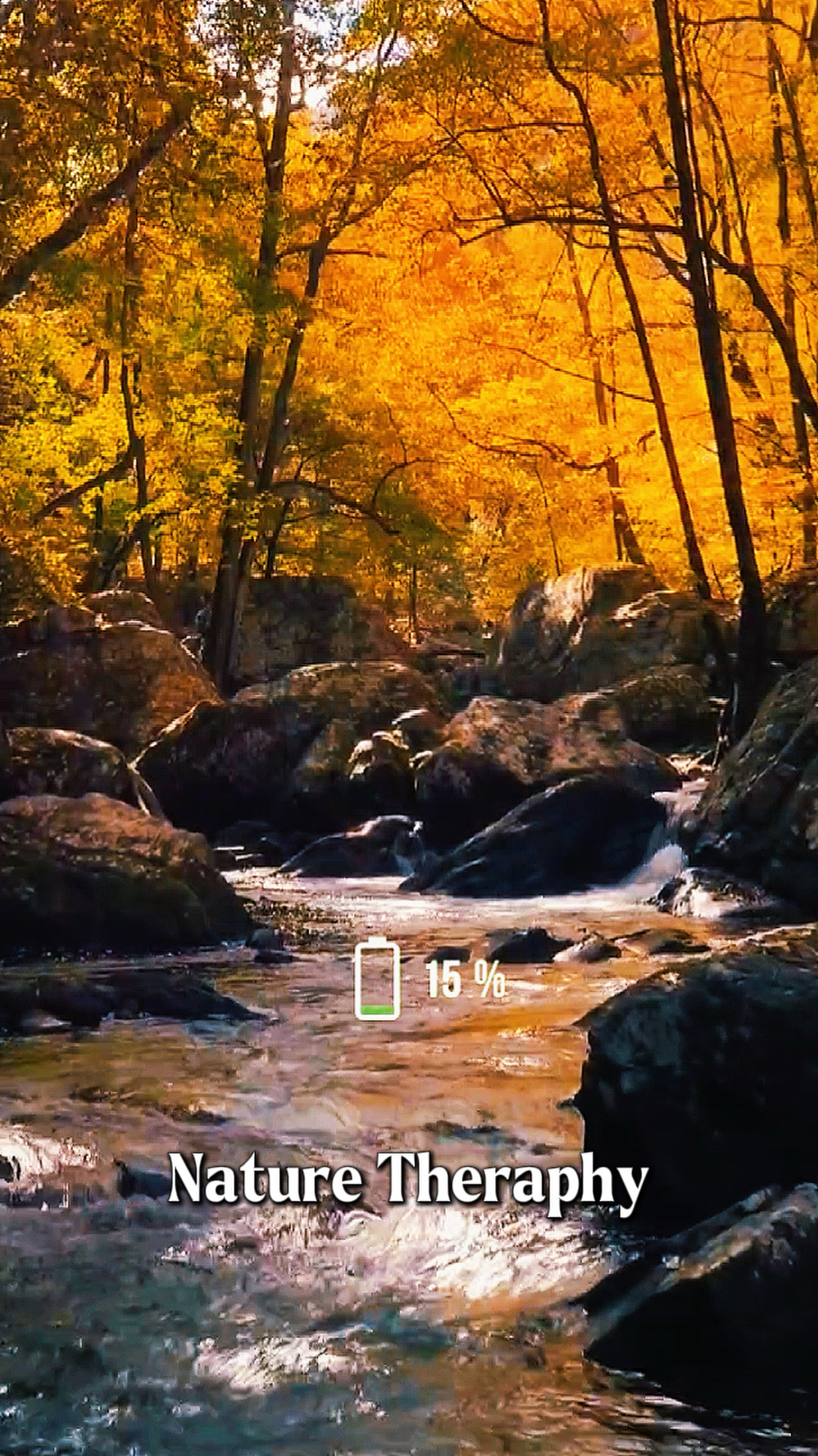 Cinematic Nature