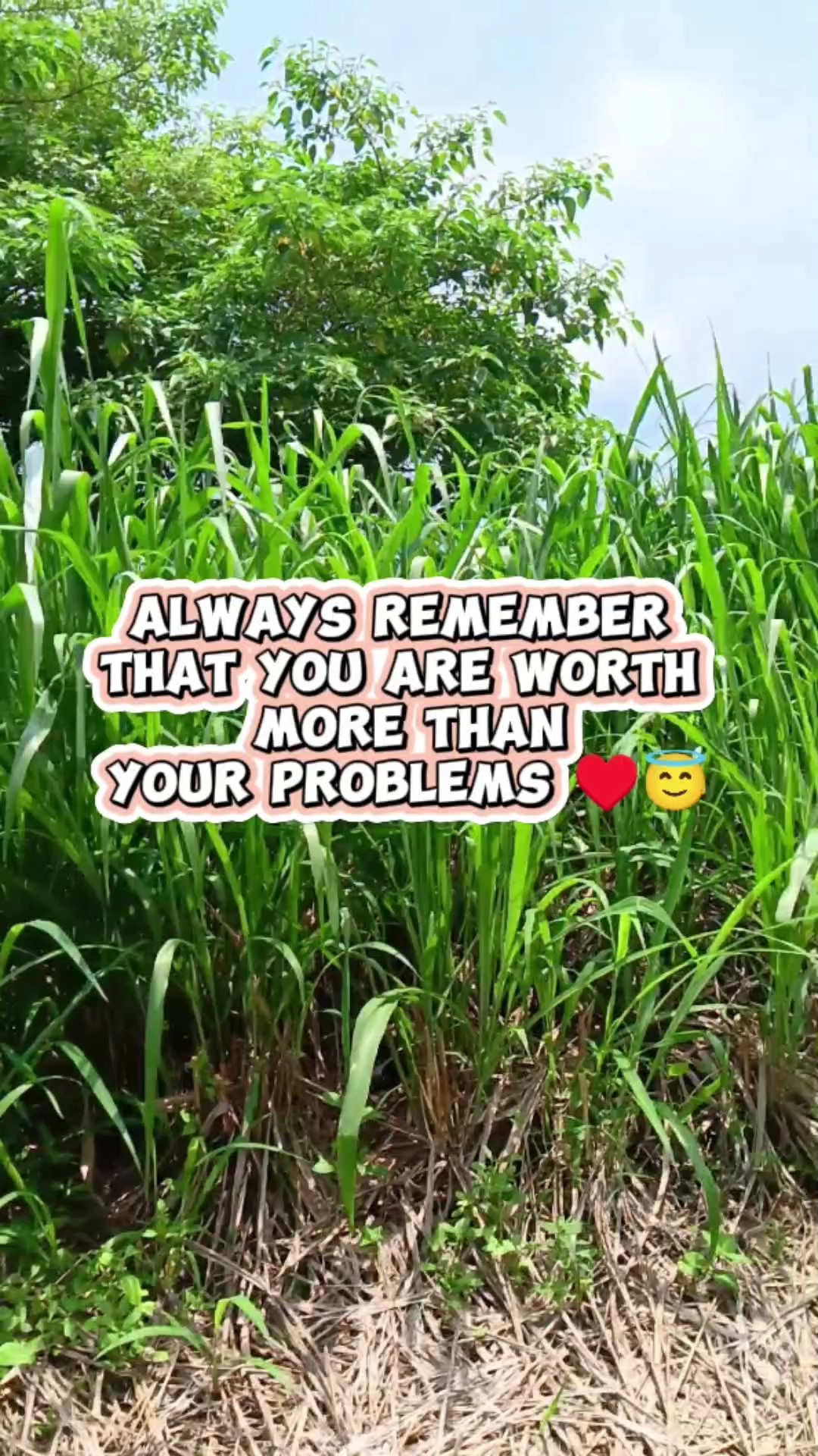 motivasi 