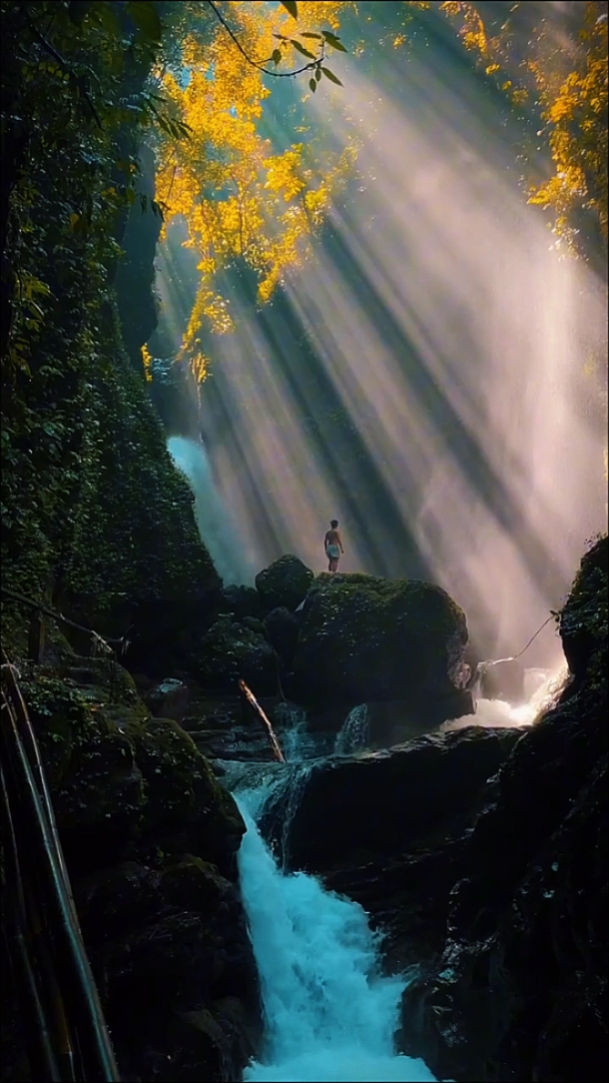 Nature • Cinematic