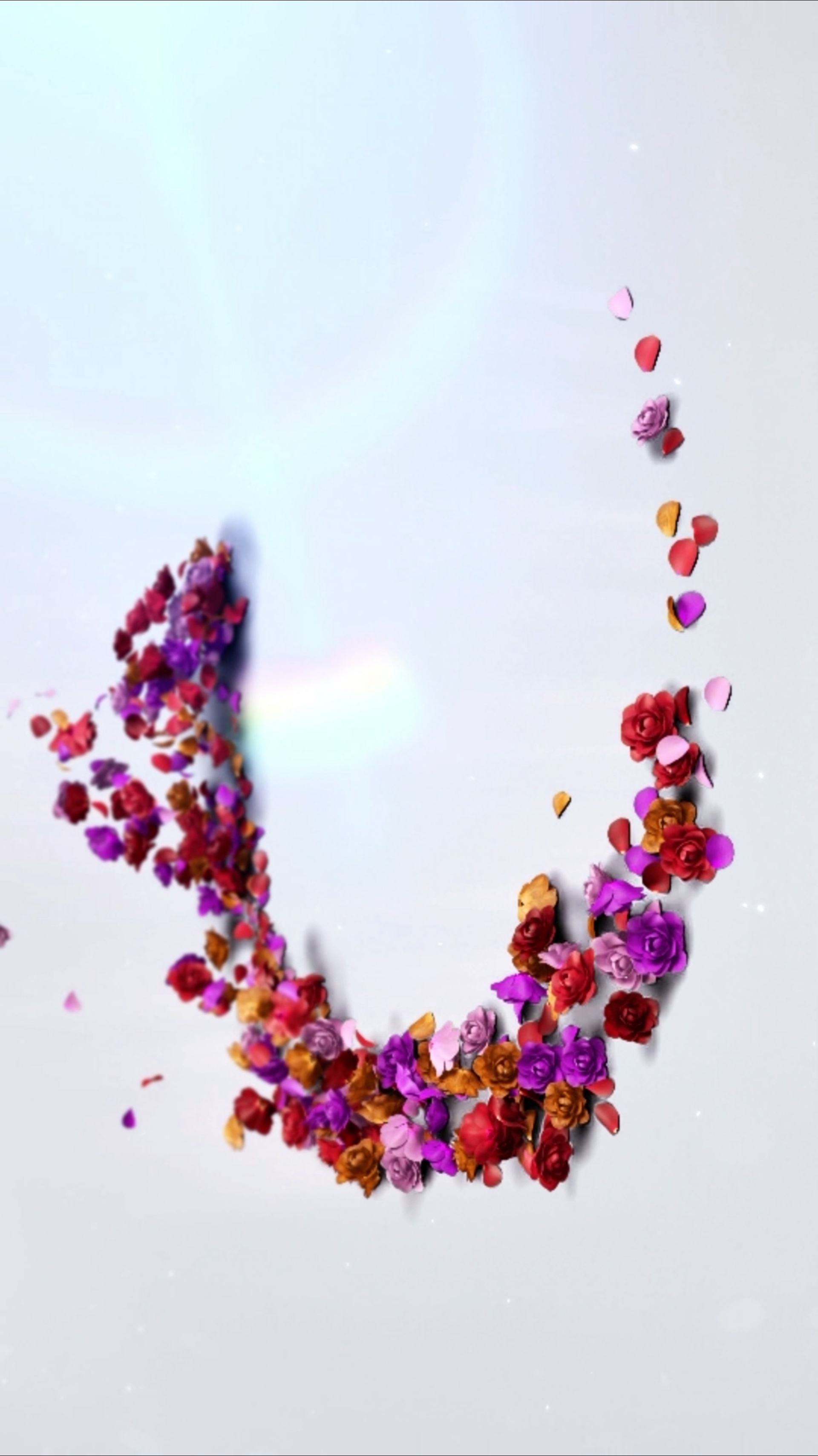 intro florale
