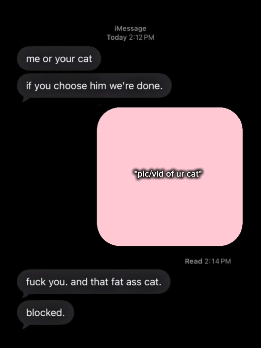 ¿Yo o tu gato?