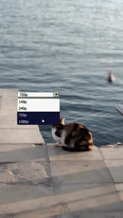 Quality Setting