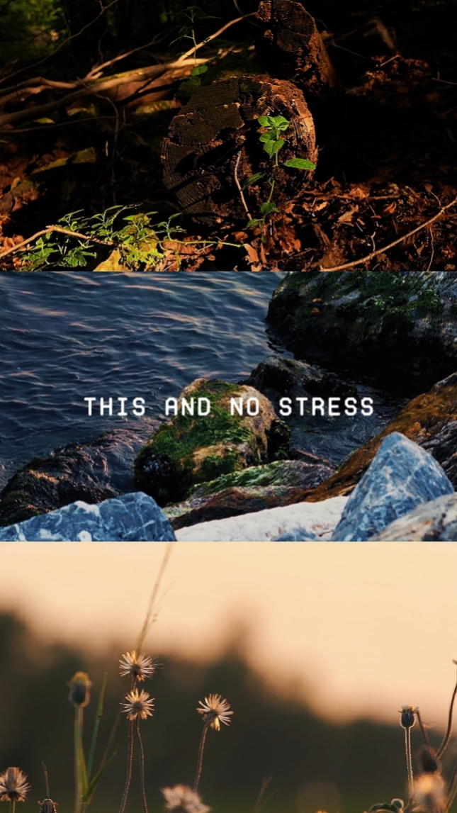 3 CLIPES DE PAISAGEM!