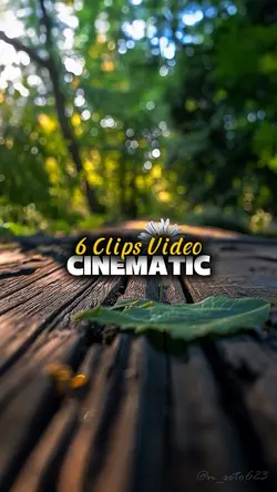 6 Clips Video