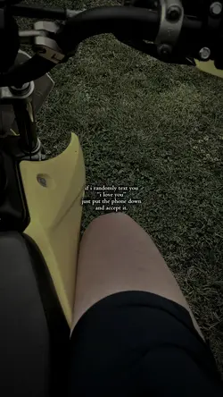 ily