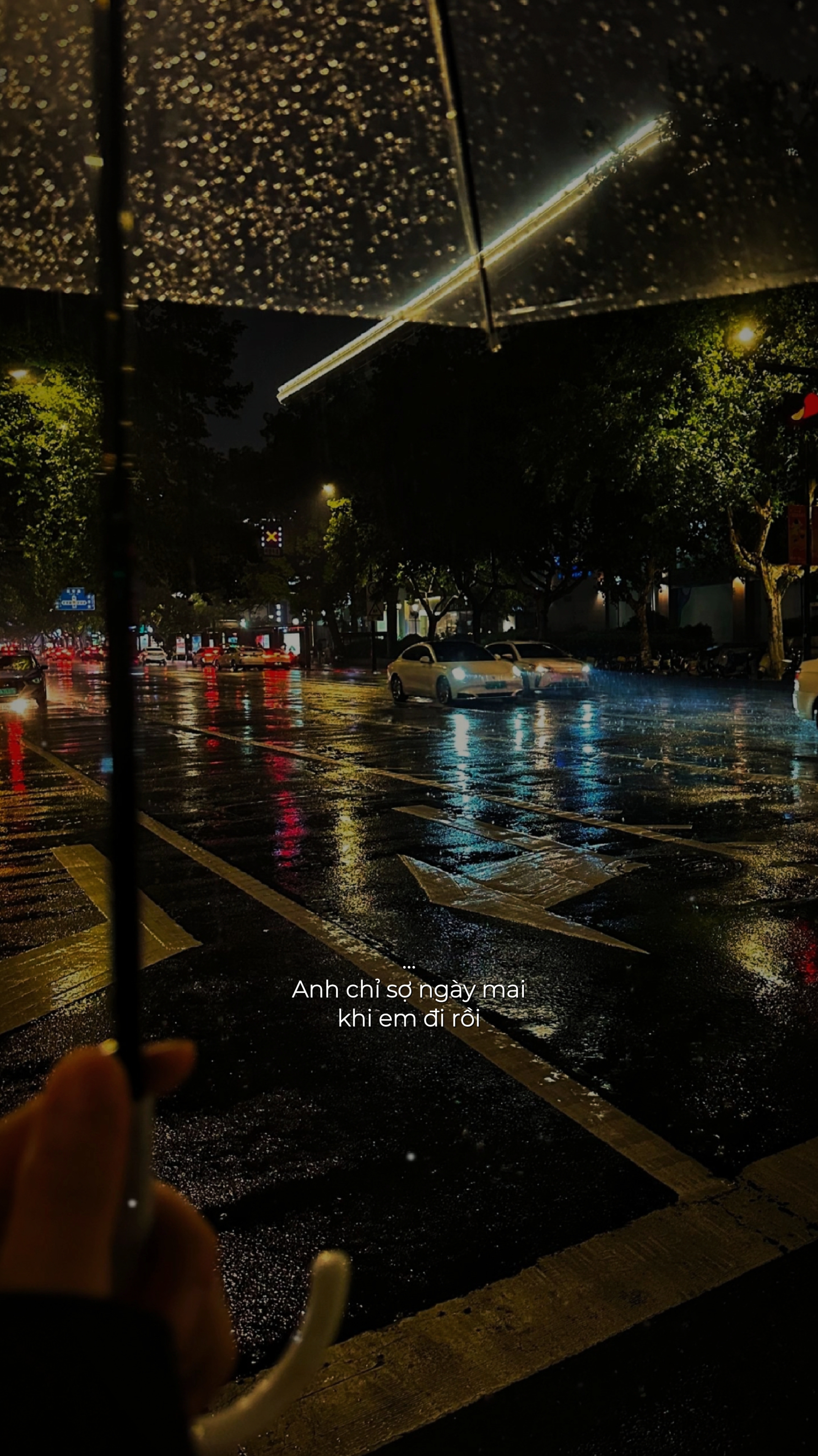 1 ảnh