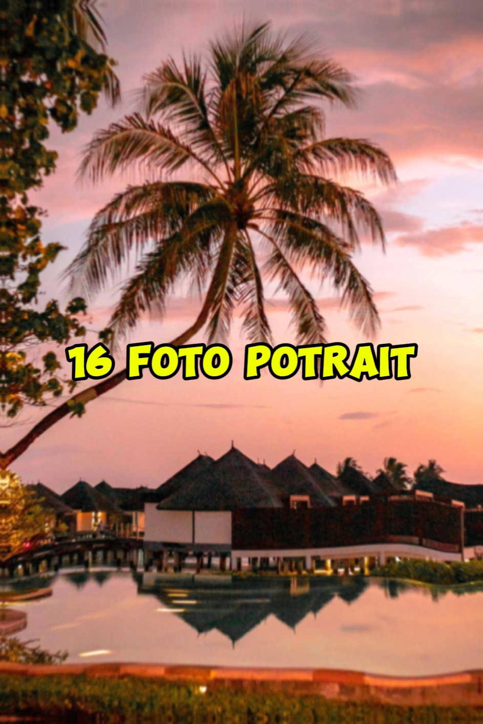 16 foto potre