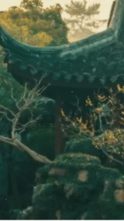 Tô Mạc Già