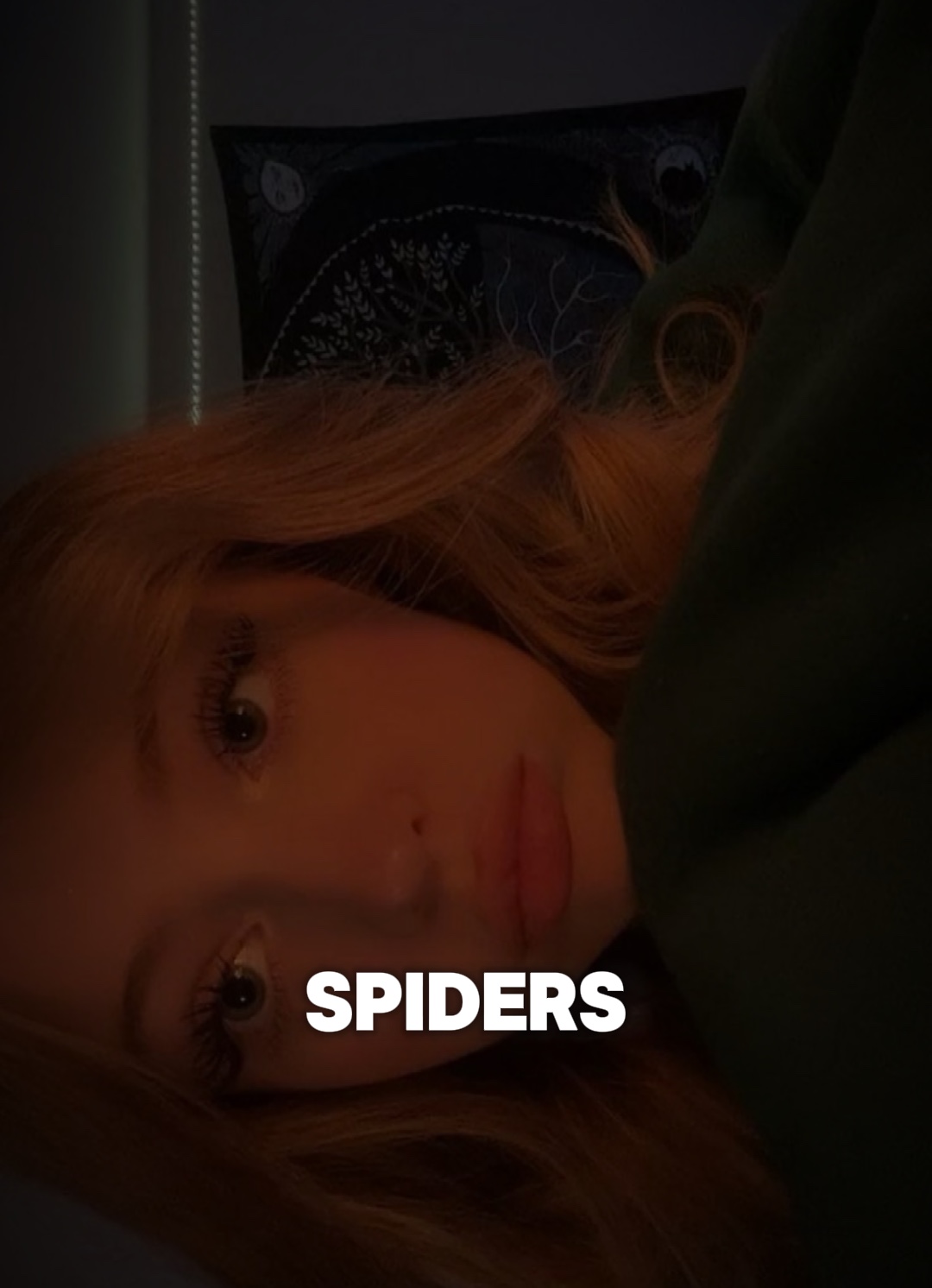 Not afraid of spider