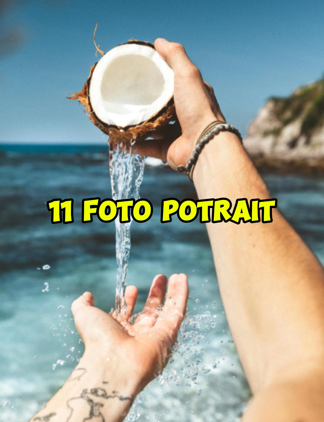 11 foto potre 