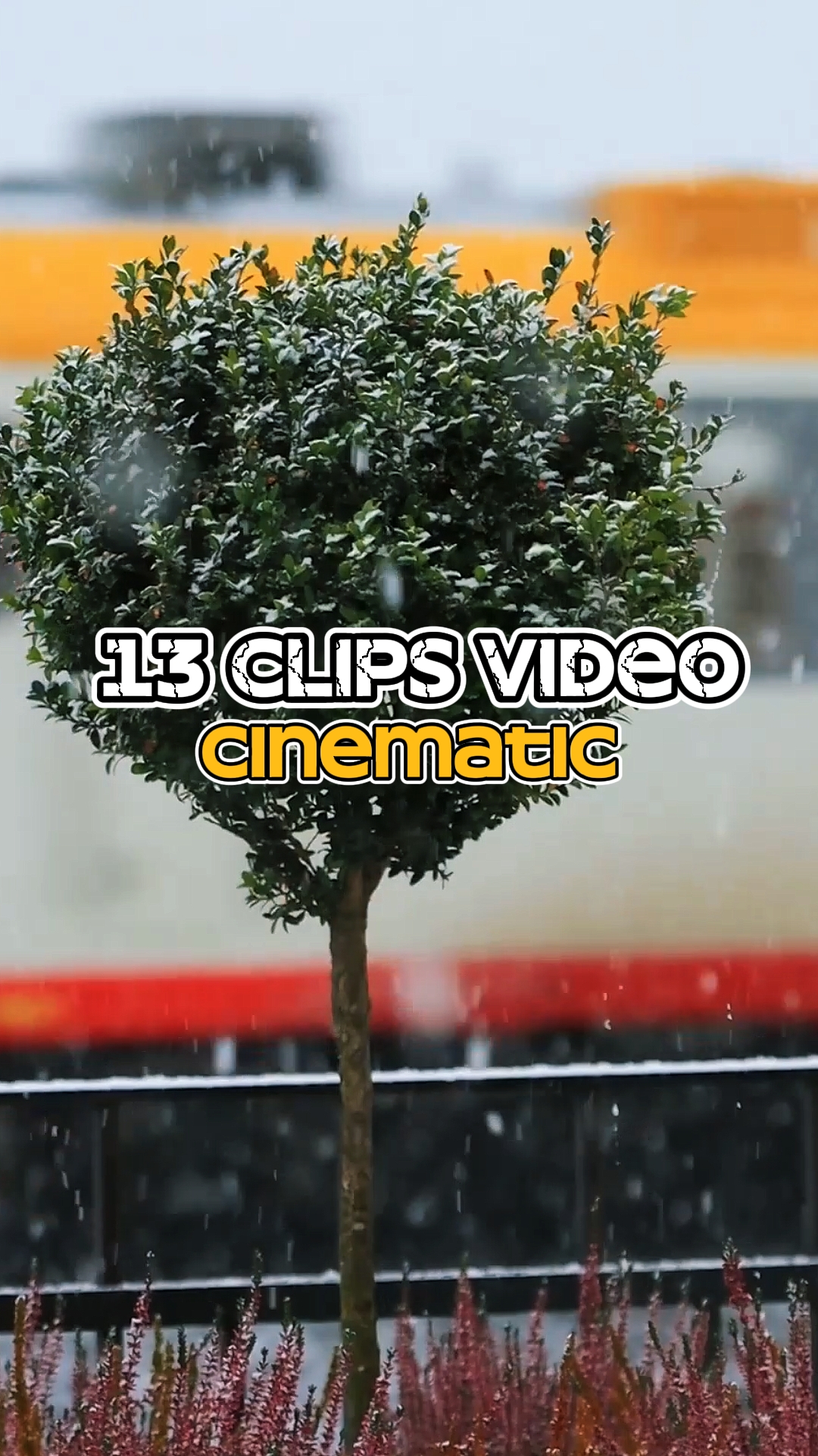 13 Clips Vidéo