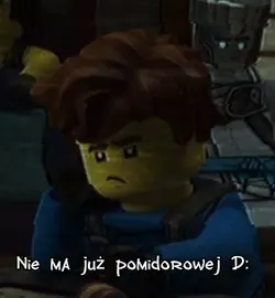 Pomidorowaa