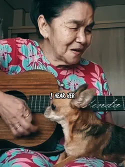 COUNTRY ROADS