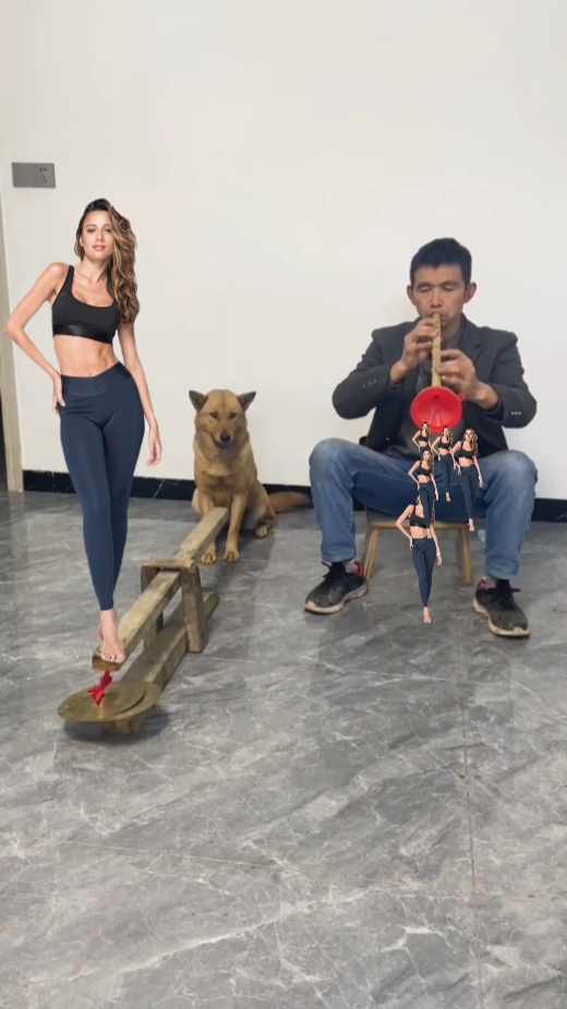 Cachorro engraçado