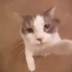 Mwa!