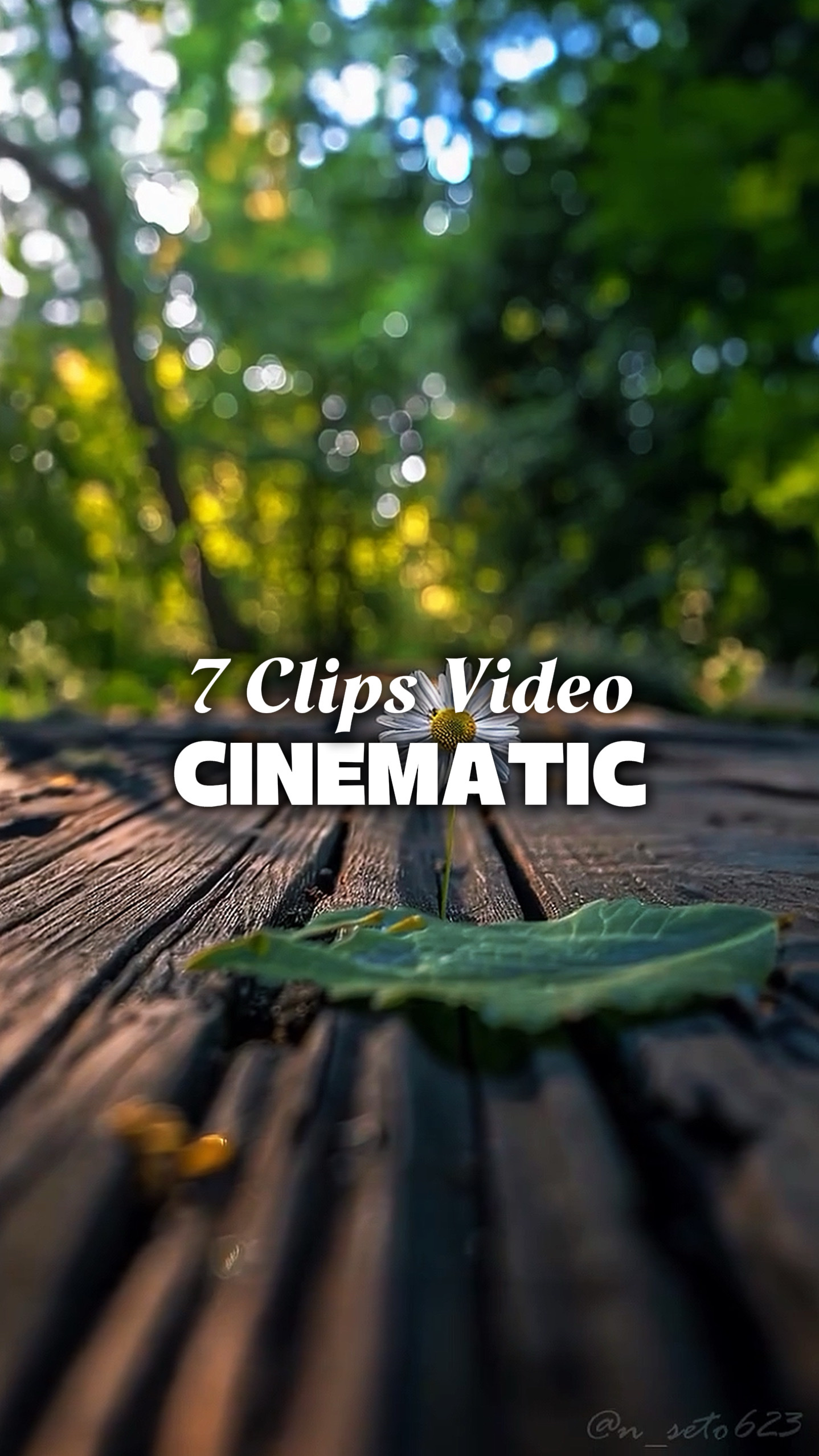 7 Mga Video Cinematic 