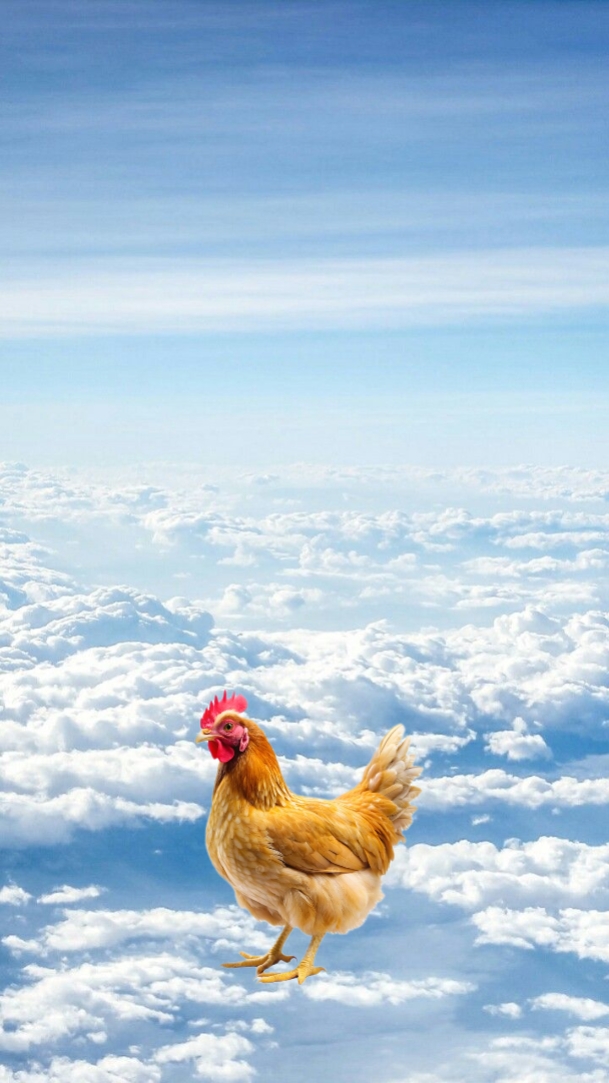 lustig alles Gute zum Geburtstag