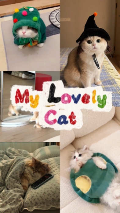 Happy Cat Day