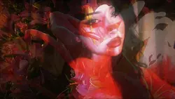 Lilies