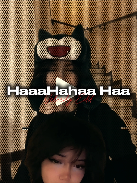하하하 하하하