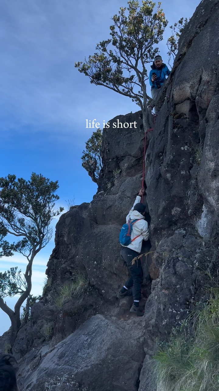life is short