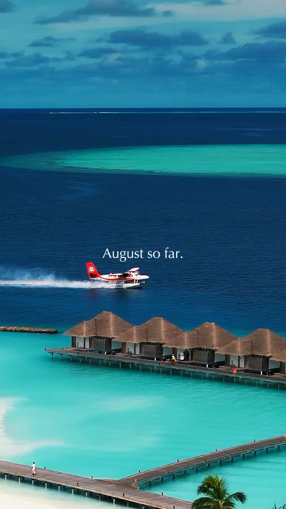 Agosto hasta ahora
