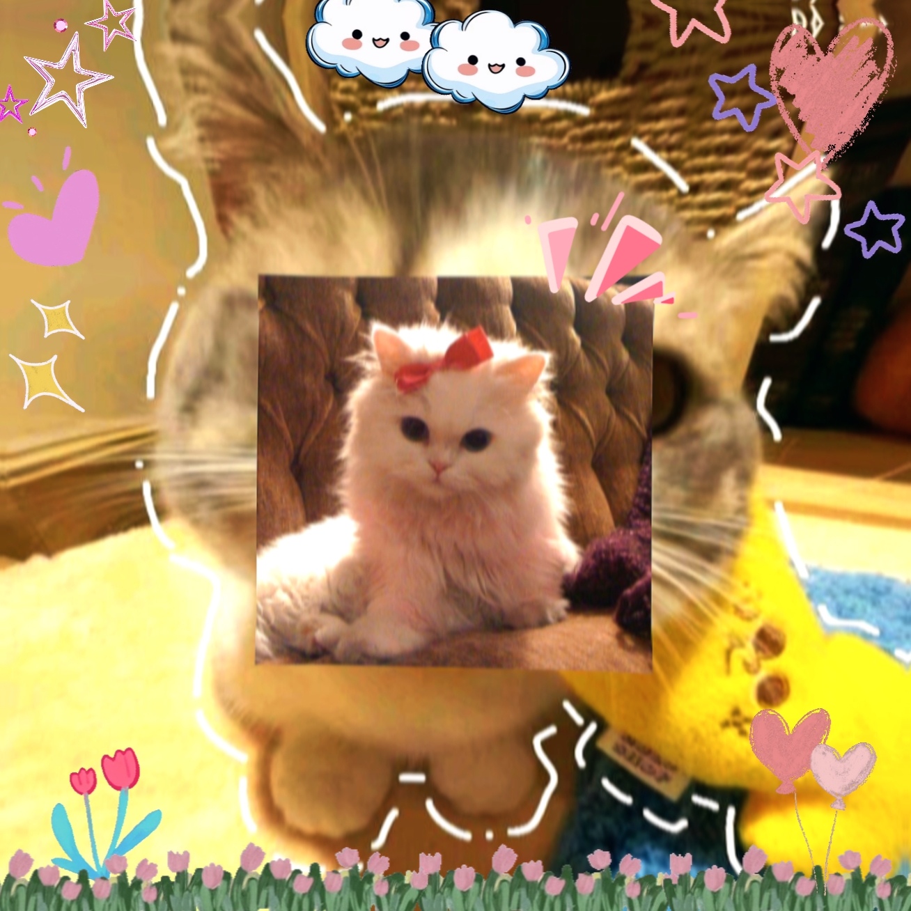 sevimli kedi