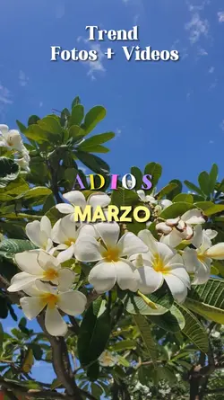 Adiós MARZO