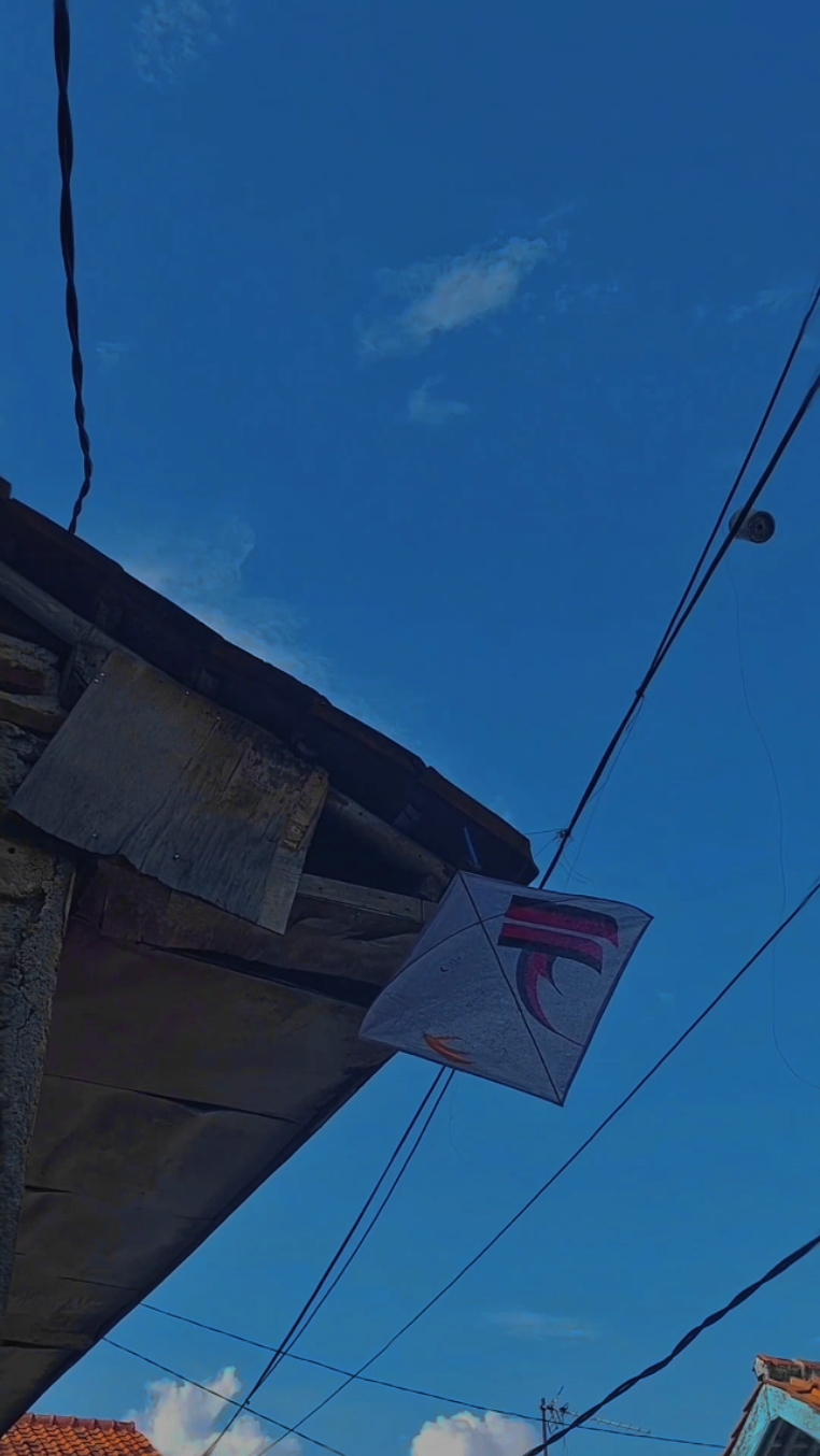 Kinoreifes 2-Video