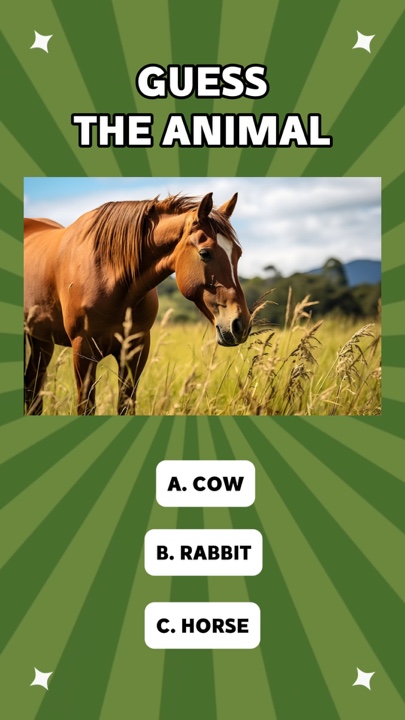 Kids Quiz Game