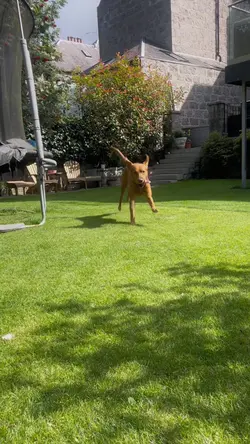 Smooth slow mo