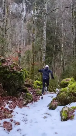 nature run