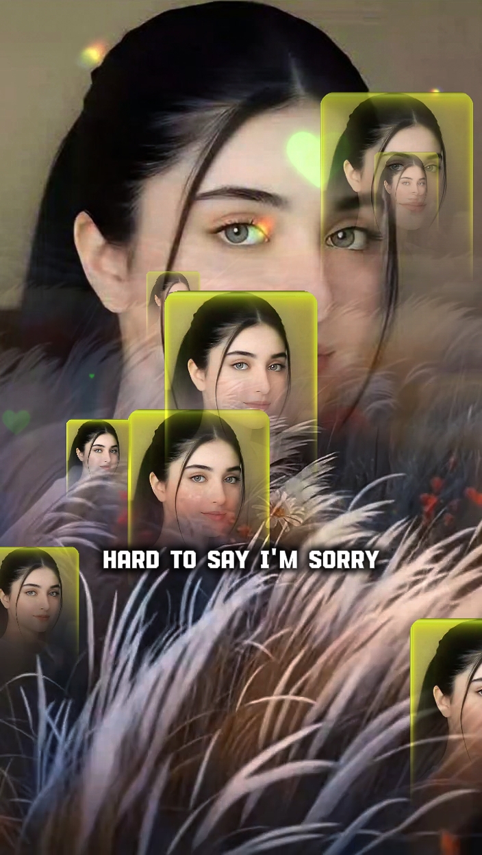 Hard to Say Im Sorry