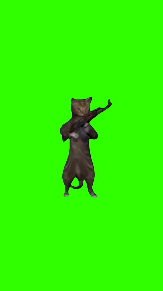 Chat qui tire