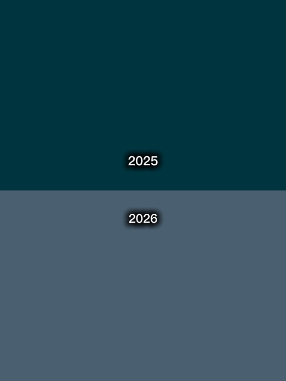 2025 / 2026