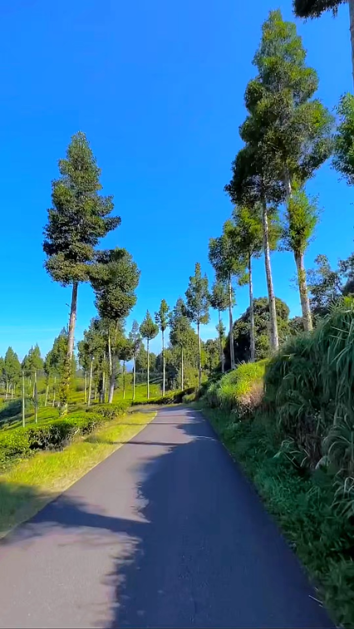 3 videos klip hd