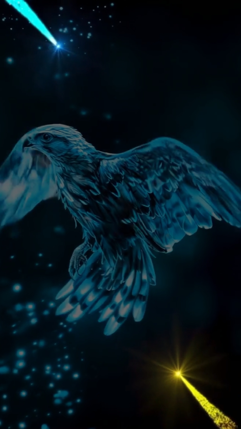 Nouvelle Intro HD 2025