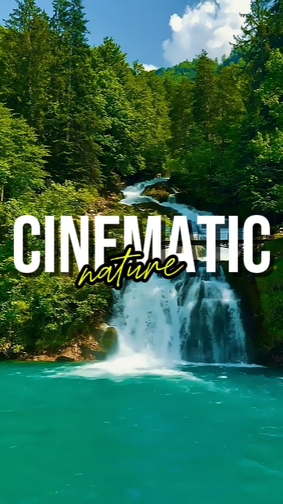 NATURE CINÉMATIQUE