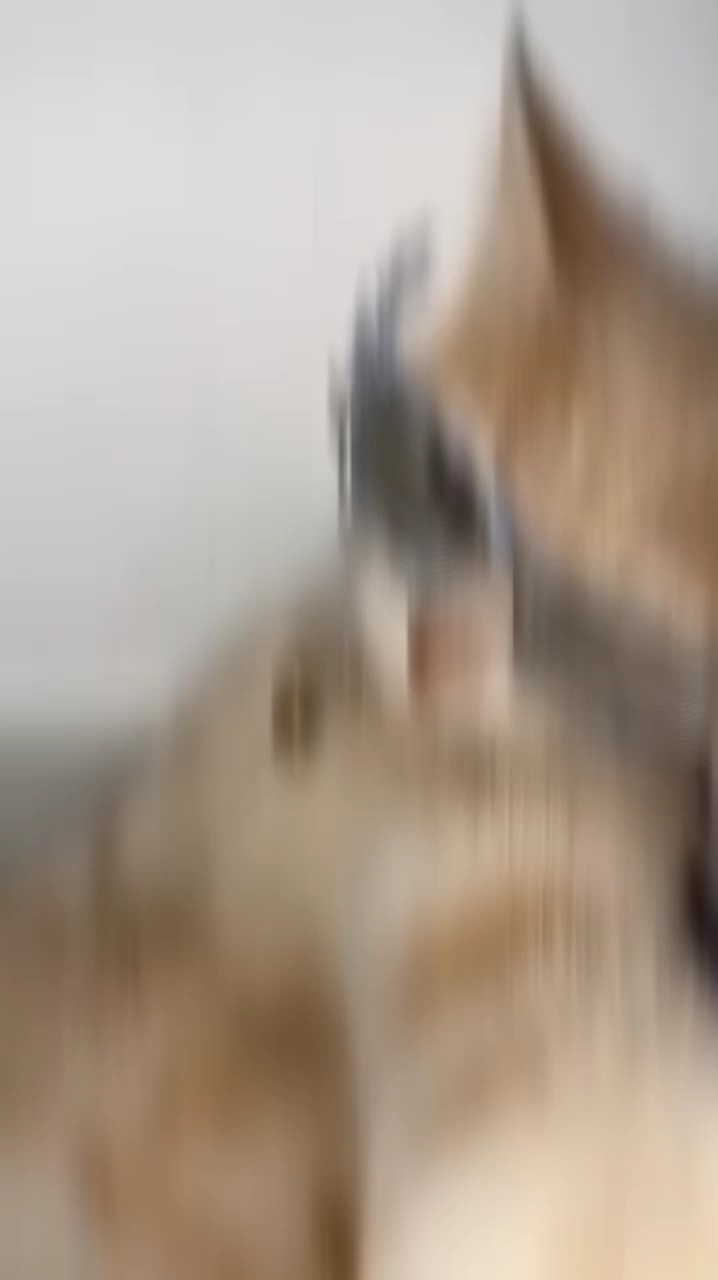 Dios Rizz