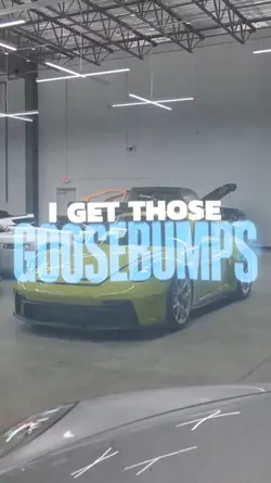 GooseBumps - Travis
