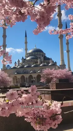 yeni şablon