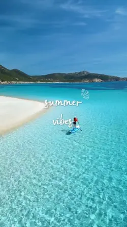summer vibes